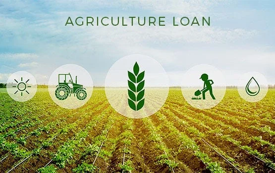 Agricultural loan